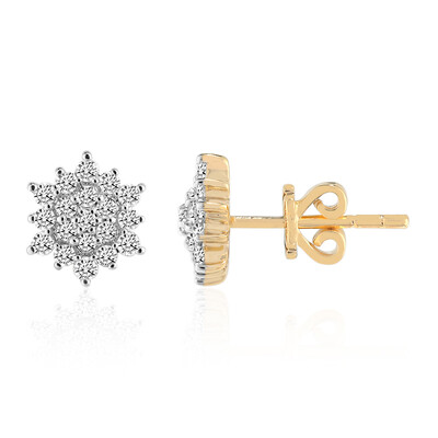 Orecchini in oro con Diamante SI1 (G) (Annette)