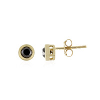 Orecchini in oro con Diamante Nero