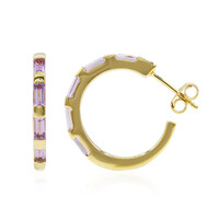 Orecchini in argento con Ametista