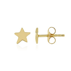 Orecchini in argento
