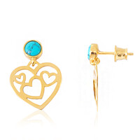 Orecchini in argento con Turchese