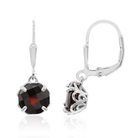Orecchini in argento con Granato
