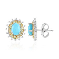 Orecchini in argento con Turchese Sleeping Beauty (Dallas Prince Designs)
