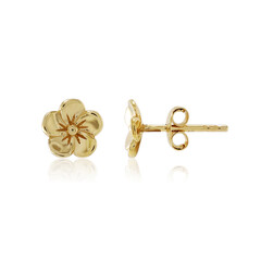 Orecchini in argento