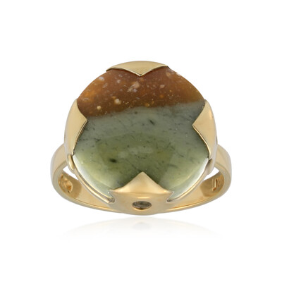 Anello in argento con Legno Fossile (Bali Barong)
