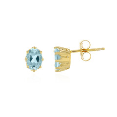 Orecchini in argento con Topazio Blu Cielo