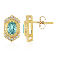 Orecchini in argento con Zircone Ratanakiri