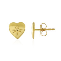 Orecchini in argento