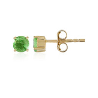 Orecchini in oro con Tsavorite