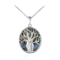 Collana in argento con Conchiglia Abalone