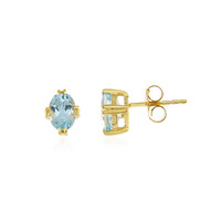 Orecchini in argento con Topazio Blu Cielo