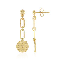 Orecchini in argento