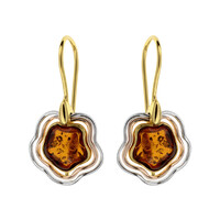 Orecchini in argento con Ambra Baltica