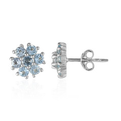 Orecchini in argento con Topazio Blu Cielo