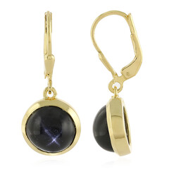 Orecchini in argento con Diopside Stellato d'India