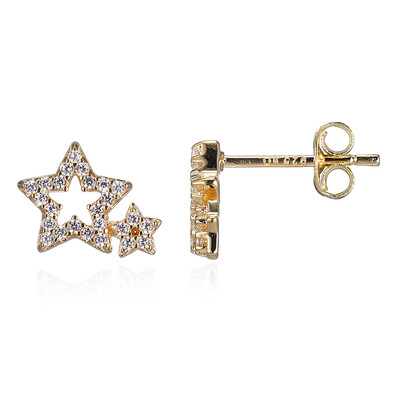 Orecchini in argento con Zircone
