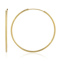 Orecchini in argento