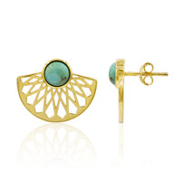 Orecchini in argento con Turchese