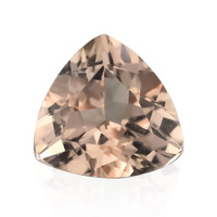 Gemma con Morganite Pesca