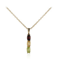 Collana in argento con Granato
