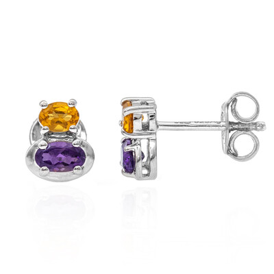 Orecchini in argento con Ametista