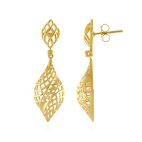 Orecchini in argento