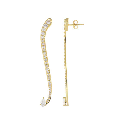 Orecchini in argento con Zircone
