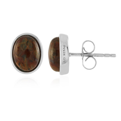 Orecchini in argento con Pietersite Dorata