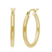 Orecchini in oro
