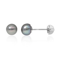 Orecchini in argento con Perla di Acqua Dolce