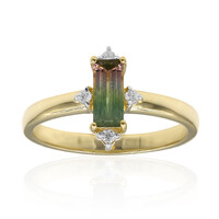 Anello in oro con Tormalina Bicolore