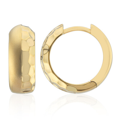 Orecchini in argento