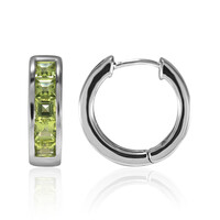 Orecchini in argento con Peridoto