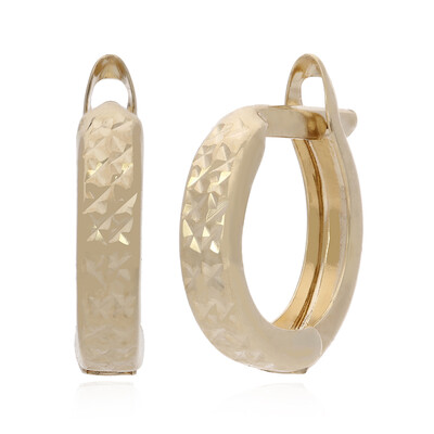 Orecchini in oro