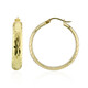 Orecchini in argento