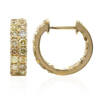 Orecchini in oro con Diamante Fancy SI2 (CIRARI)