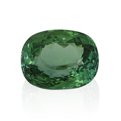 Gemma con Tormalina Verde