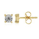 Orecchini in argento con Diamante I3 (J)