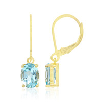 Orecchini in argento con Topazio Blu Cielo