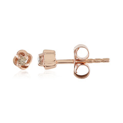 Orecchini in argento con Diamante Champagne I3