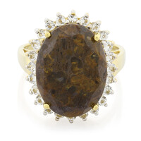 Anello placcato in oro con Quarzo Dinosauro