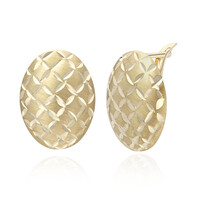 Orecchini in oro