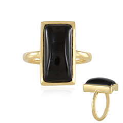 Anello in argento con Onice Nero