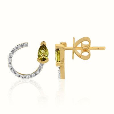 Orecchini in oro con Pallavin del Kansas
