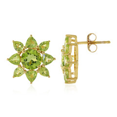 Orecchini in argento con Peridoto