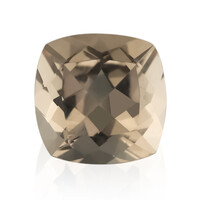 Gemma con Morganite Pesca