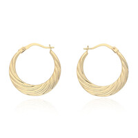 Orecchini in oro