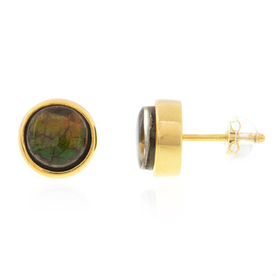 Orecchini in argento con Ammolite