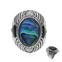 Anello in argento con Conchiglia Abalone (Art of Nature)