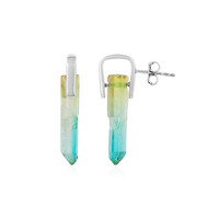 Orecchini in argento con Quarzo Bicolore